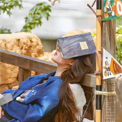 哈利波特：凤凰会的密令