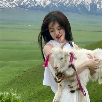 全民公敌